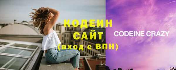 шишки Абаза