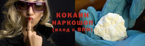 шишки Абаза