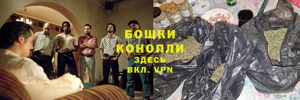 шишки Абаза
