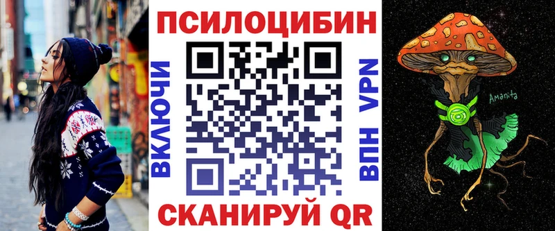 KRAKEN сайт  Почеп  Псилоцибиновые грибы ЛСД  где купить наркоту 